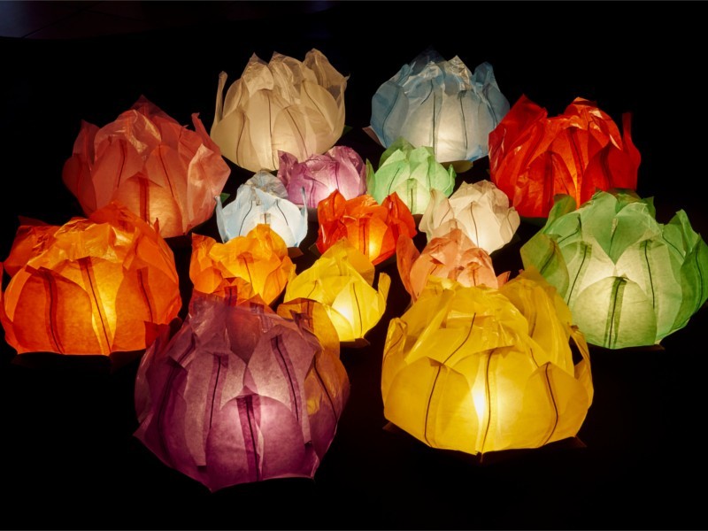 Le lanterne galleggianti luminosi di carta di riso in colori e misure diverse, grandi e piccoli a forma di fiore di loto