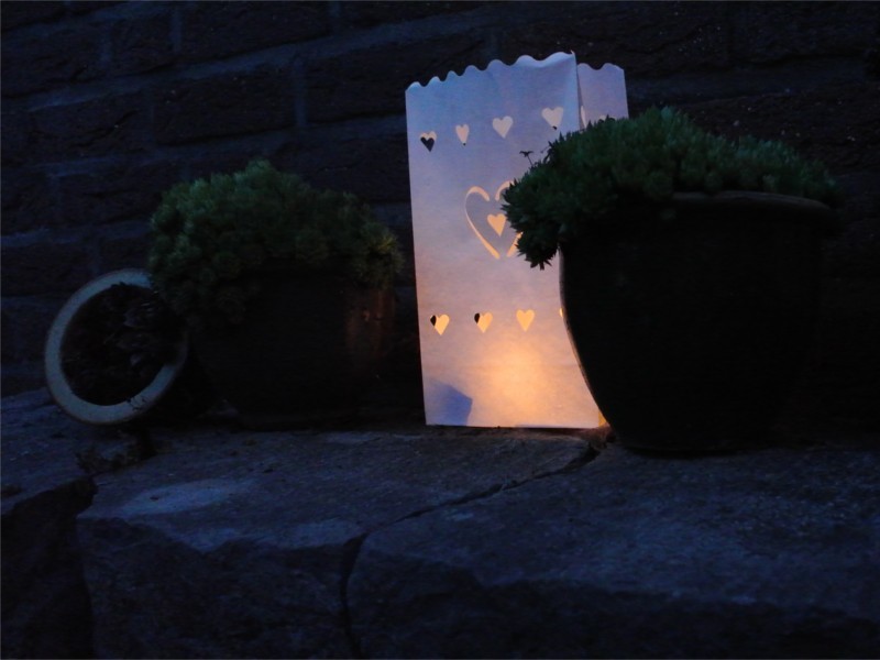 Sacchetti luminosi porta candele per illuminare il giardino