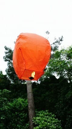 doordat deze oranje wens ballon kleiner is dan de standaard lantaarns is het nog eenvoudig om deze te laten vliegen