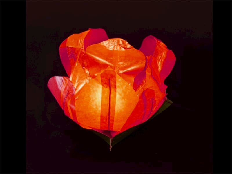 lanterne galleggiante piccola a forma di ninfea fiore di loto, per la piscina, laghetto o anche da appoggiare per terra o in tavola, facile da usare, apri, pieghi, inserisci la candela e la fai galleggiare sull'acqua, candela compresa, colore rosso