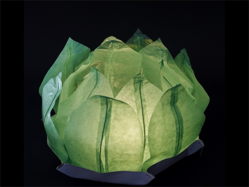 big floating paper water lantern lotus flower shaped, easy to use, for pond or pool but also nice to put on the dining table or lawn, fold the flower, put the candle inside and let it float, changing the candle can be used multiple times, color green