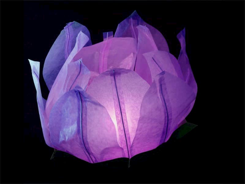 big floating paper water lantern lotus flower shaped, easy to use, for pond or pool but also nice to put on the dining table or lawn, fold the flower, put the candle inside and let it float, changing the candle can be used multiple times, color purple