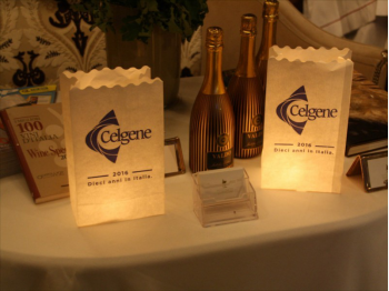 Sacchetti Standard Personalizzati ignifughi con il vostro logo