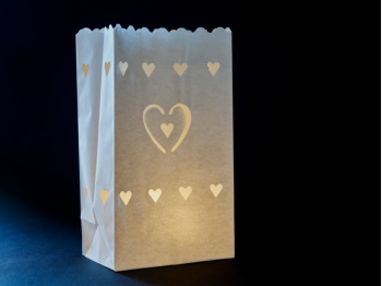 Un paio di idee su che cosa fare i sacchetti portacandele luminosi di carta di riso