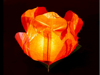 small  floating paper water lantern lotus flower shaped, easy to use, for pond or pool but also nice to put on the dining table or lawn, fold the flower, put the candle inside and let it float, changing the candle can be used multiple times, color orange