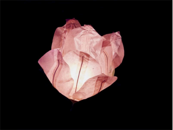 small  floating paper water lantern lotus flower shaped, easy to use, for pond or pool but also nice to put on the dining table or lawn, fold the flower, put the candle inside and let it float, changing the candle can be used multiple times, color pink