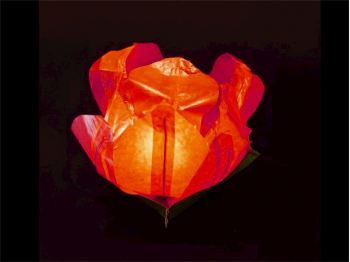 small  floating paper water lantern lotus flower shaped, easy to use, for pond or pool but also nice to put on the dining table or lawn, fold the flower, put the candle inside and let it float, changing the candle can be used multiple times, color red