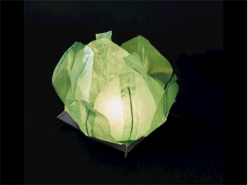 small  floating paper water lantern lotus flower shaped, easy to use, for pond or pool but also nice to put on the dining table or lawn, fold the flower, put the candle inside and let it float, changing the candle can be used multiple times, color green