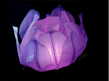 big floating paper water lantern lotus flower shaped, easy to use, for pond or pool but also nice to put on the dining table or lawn, fold the flower, put the candle inside and let it float, changing the candle can be used multiple times, color purple
