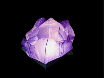small  floating paper water lantern lotus flower shaped, easy to use, for pond or pool but also nice to put on the dining table or lawn, fold the flower, put the candle inside and let it float, changing the candle can be used multiple times, color purple