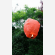 doordat deze rode wens ballon kleiner is dan de standaard lantaarns is het nog eenvoudig om deze te laten vliegen