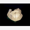 small  floating paper water lantern lotus flower shaped, easy to use, for pond or pool but also nice to put on the dining table or lawn, fold the flower, put the candle inside and let it float, changing the candle can be used multiple times, color white